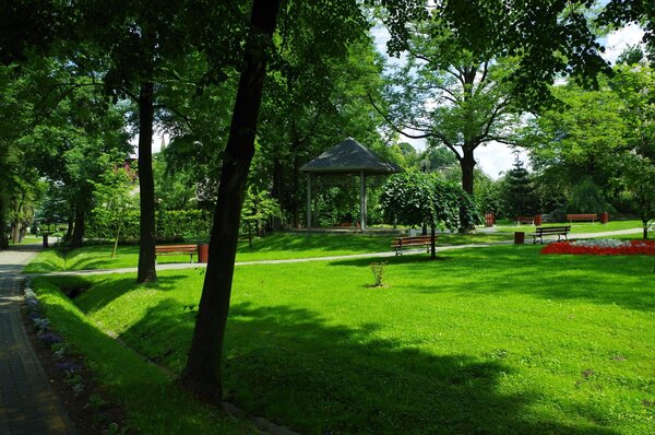 Park im. ks. prof. Stanisława Pisarka Powiększ: