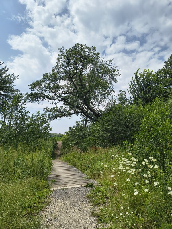 Powiększ: