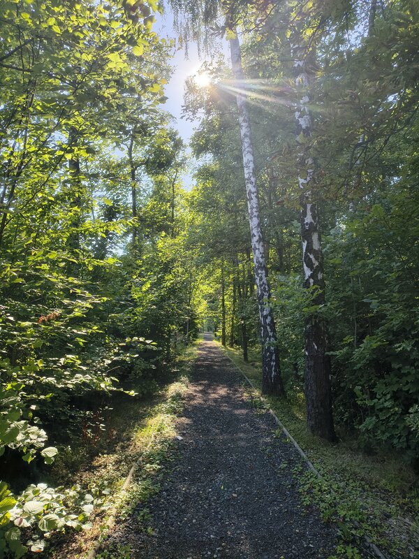 Powiększ: