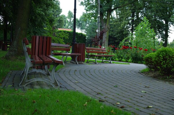 Park im. ks. prof. Stanisława Pisarka Powiększ: