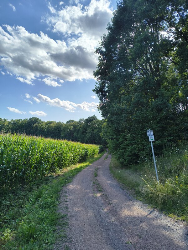 Powiększ: