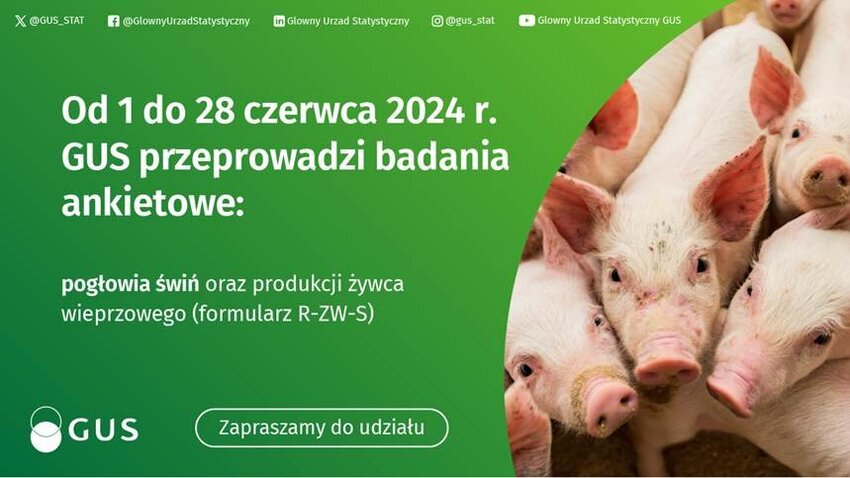 Powiększ: