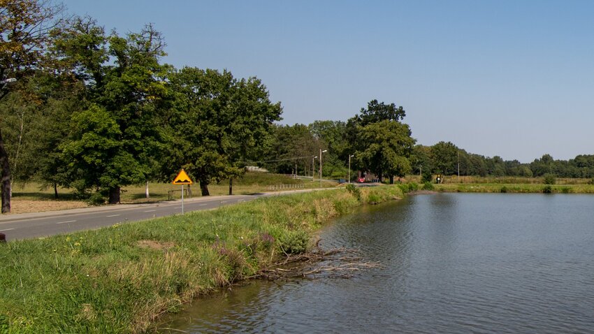 Powiększ: