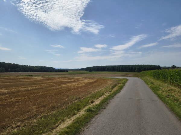 Powiększ: