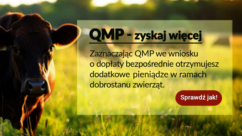 Powiększ: