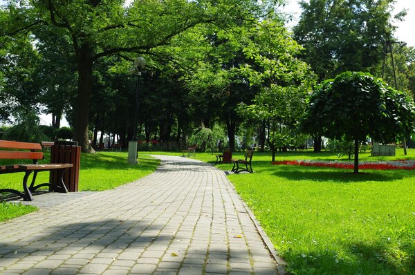 Park im. ks. prof. Stanisława Pisarka Powiększ: