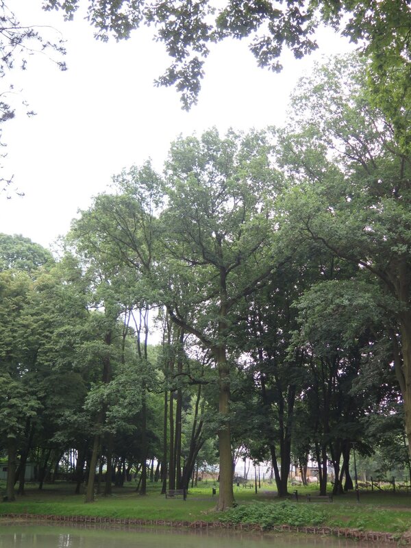 Park przy Willi Reitzensteinów Powiększ: