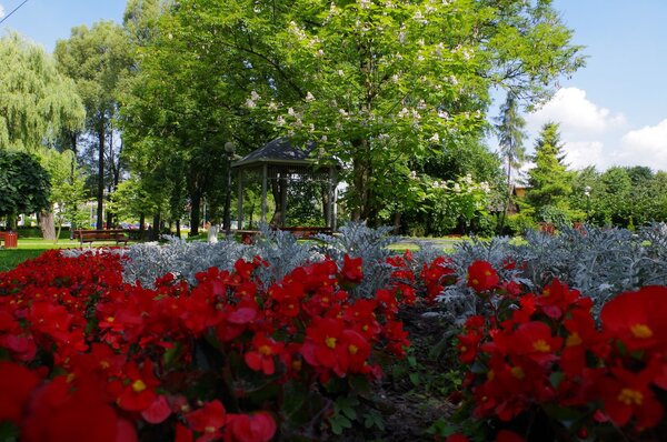 Park im. ks. prof. Stanisława Pisarka Powiększ: