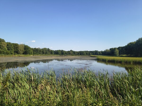 Powiększ:
