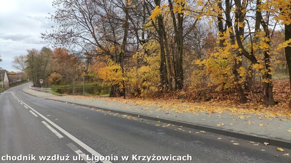 Powiększ: