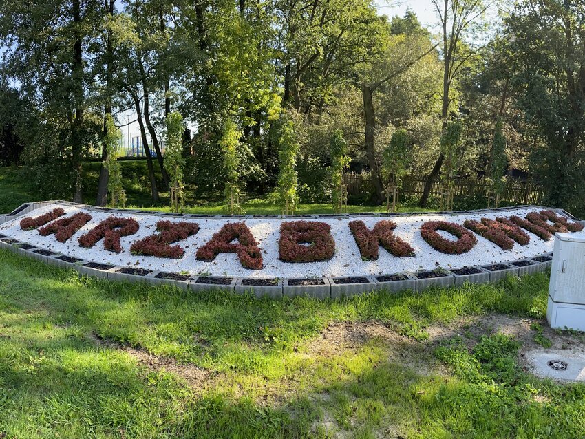 Powiększ: