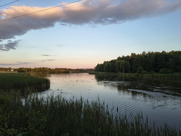 Powiększ: