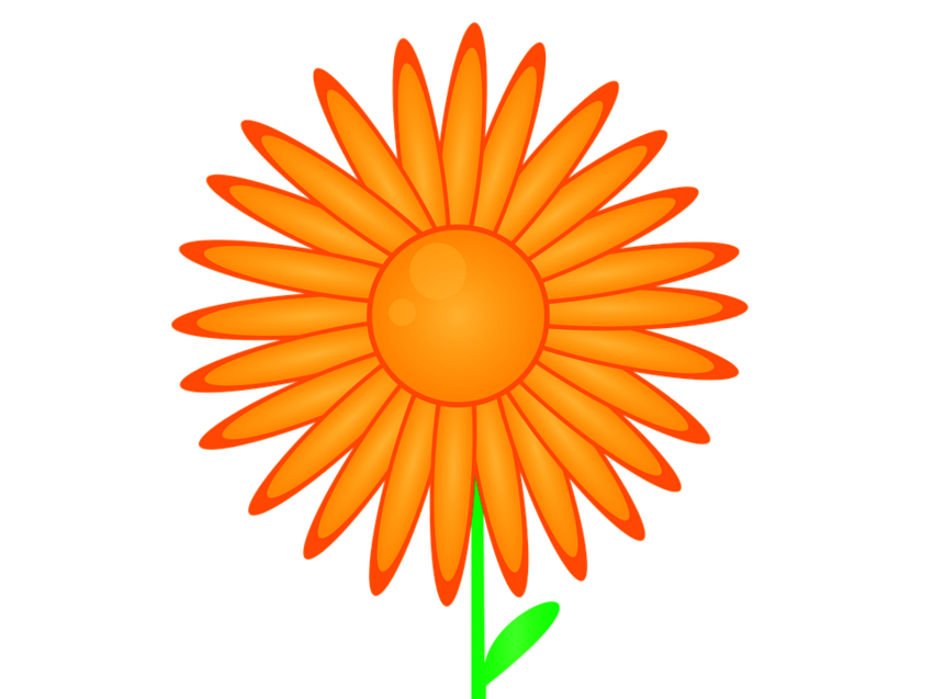 Powiększ: 