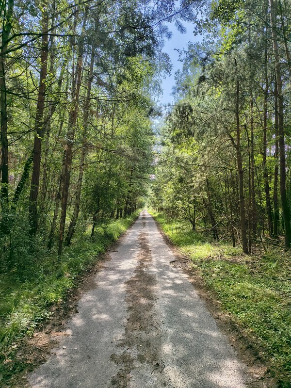Powiększ: