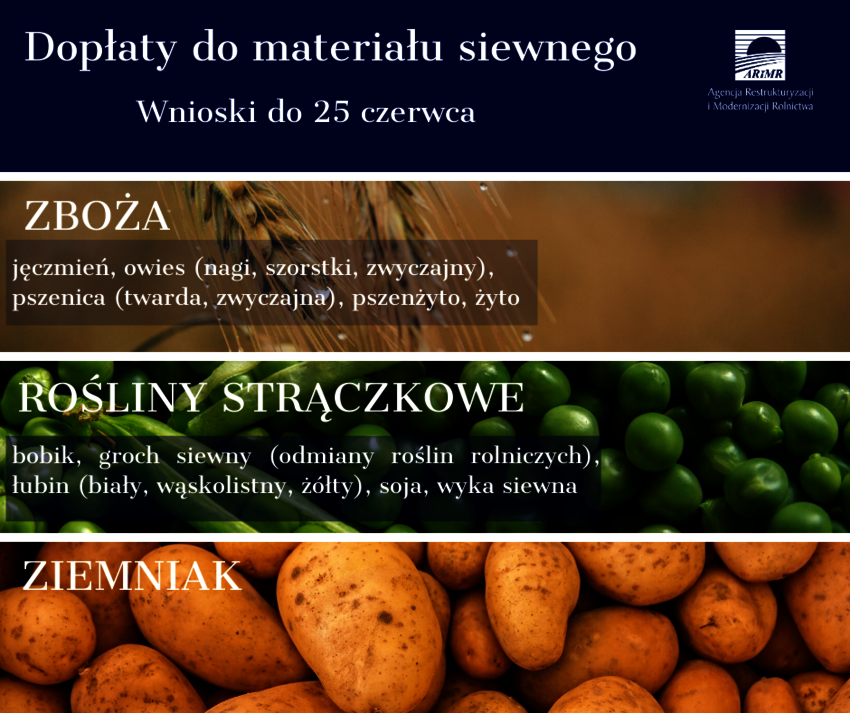 Powiększ: