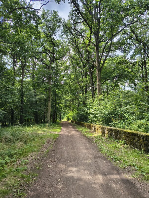 Powiększ: