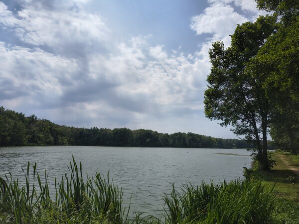 Powiększ: