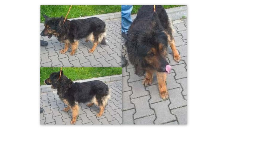 Powiększ: