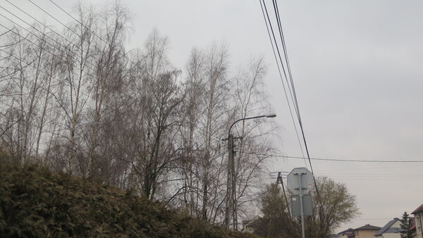Powiększ: