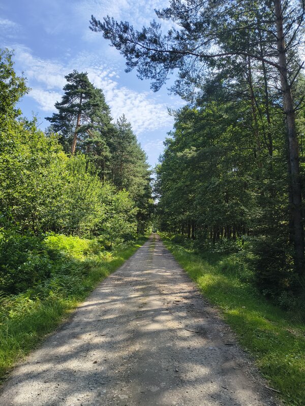 Powiększ: