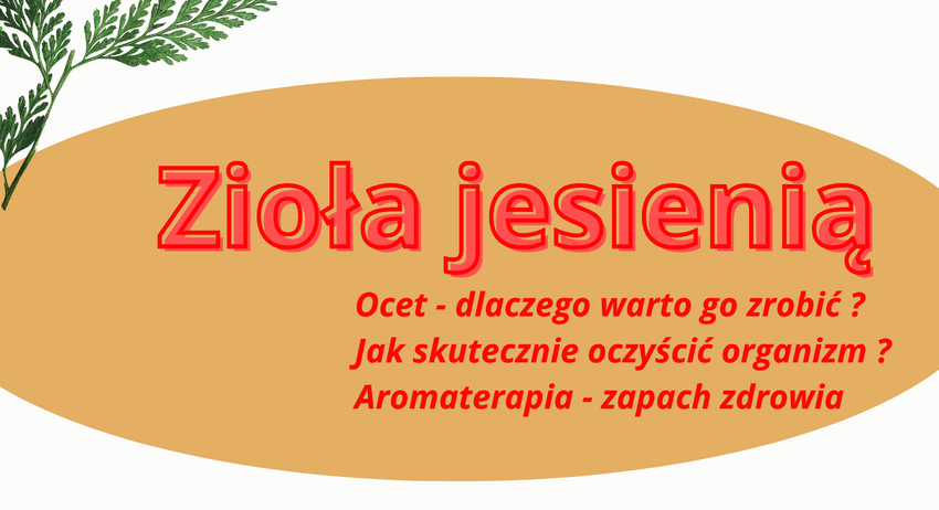 Powiększ: