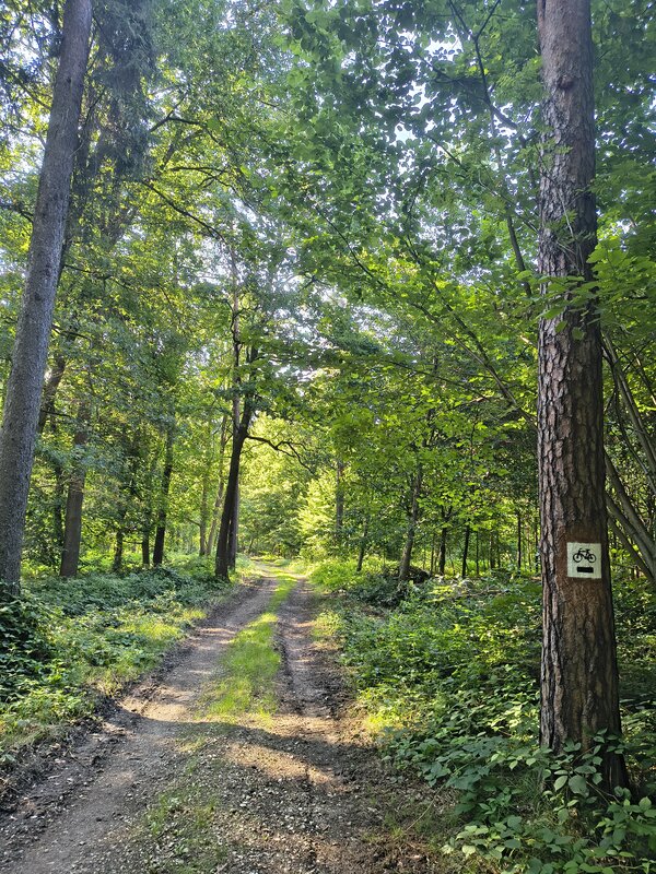 Powiększ: