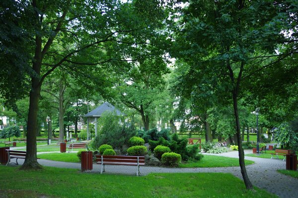 Park im. ks. prof. Stanisława Pisarka Powiększ: