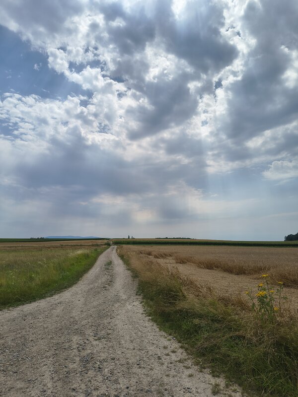Powiększ: