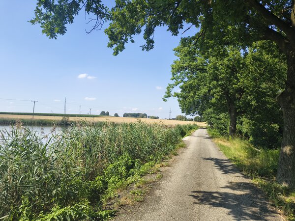 Powiększ: