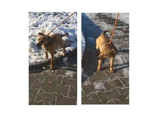 Powiększ: